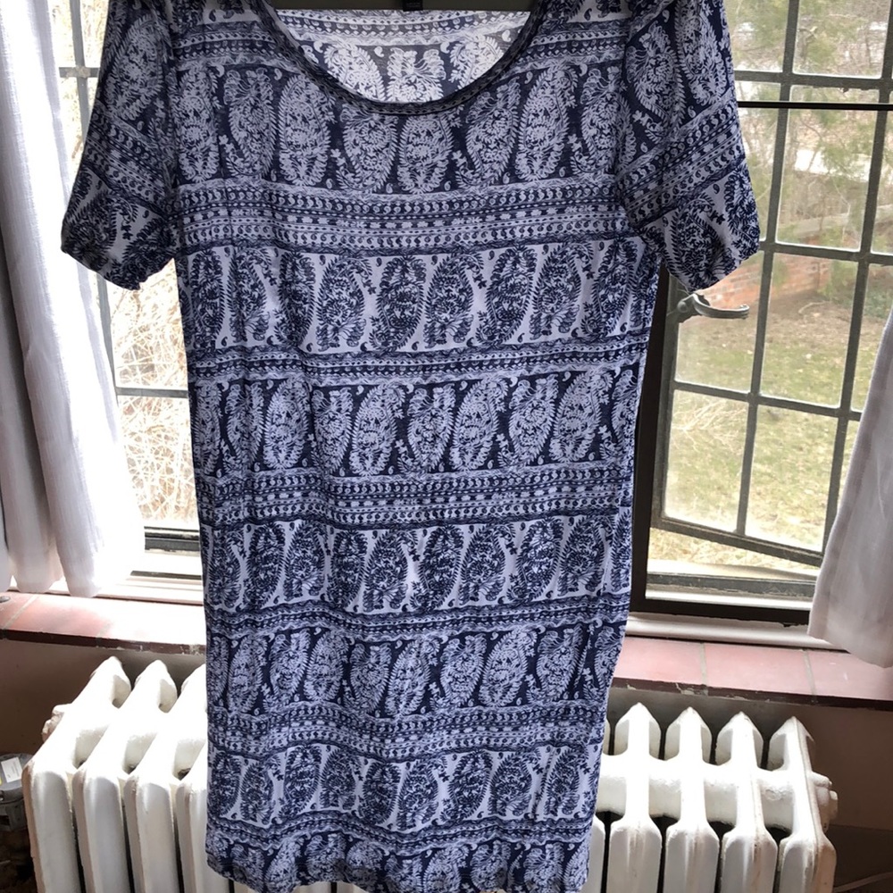 J Crew Tissue Dress